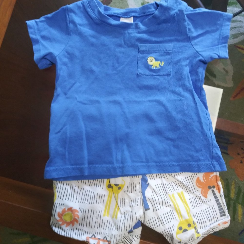Lion outfit